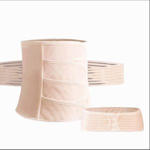 Post Pregnancy Belly Band